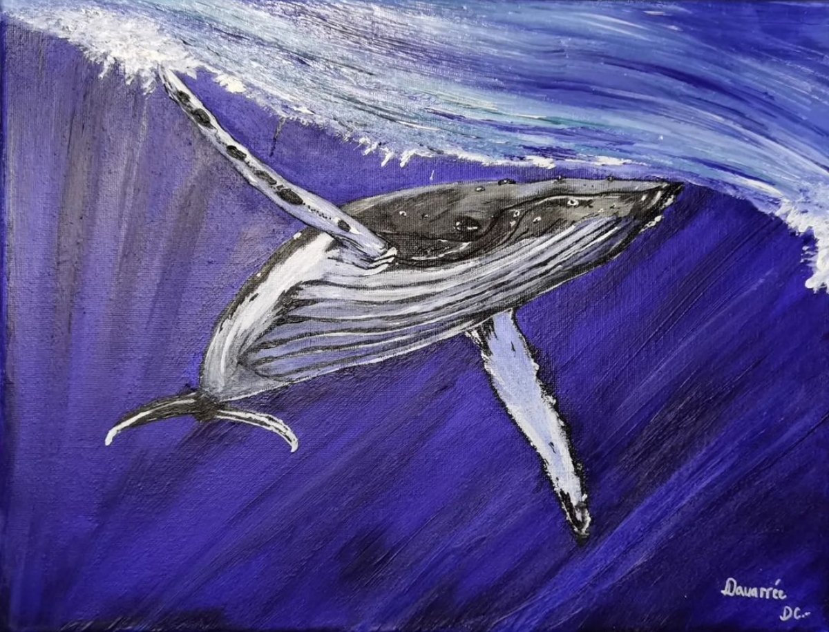 Le Regard des Océans