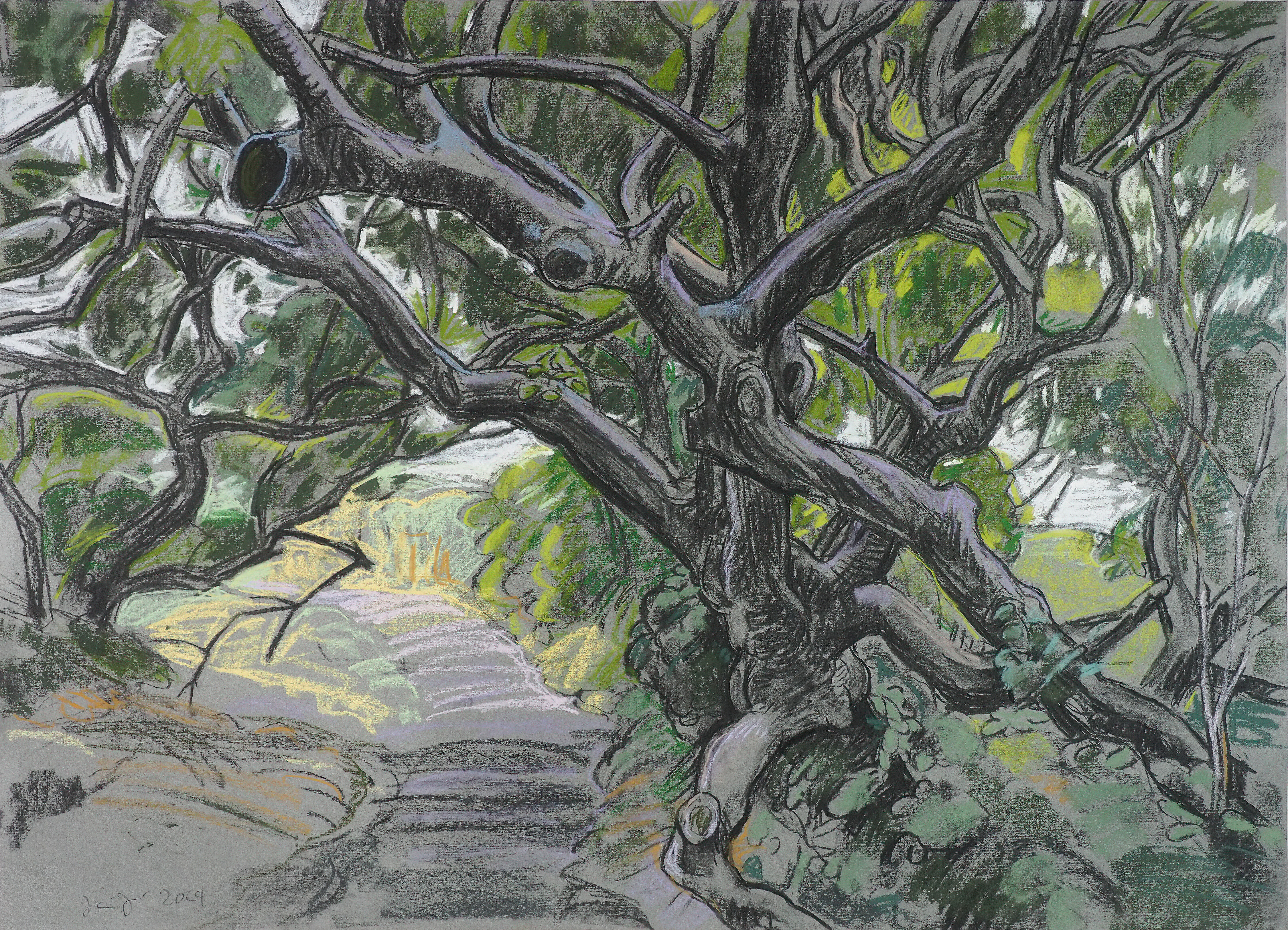 Sentier de Littoral near Grouchy – La Hague, Norma